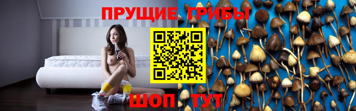 Псилоцибиновые грибы Magic Shrooms Надым